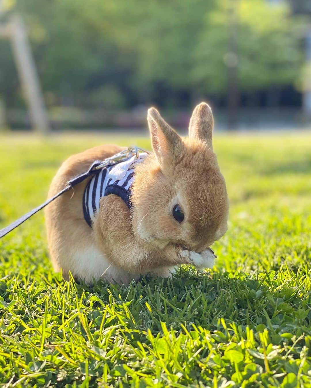 越智千恵子のインスタグラム