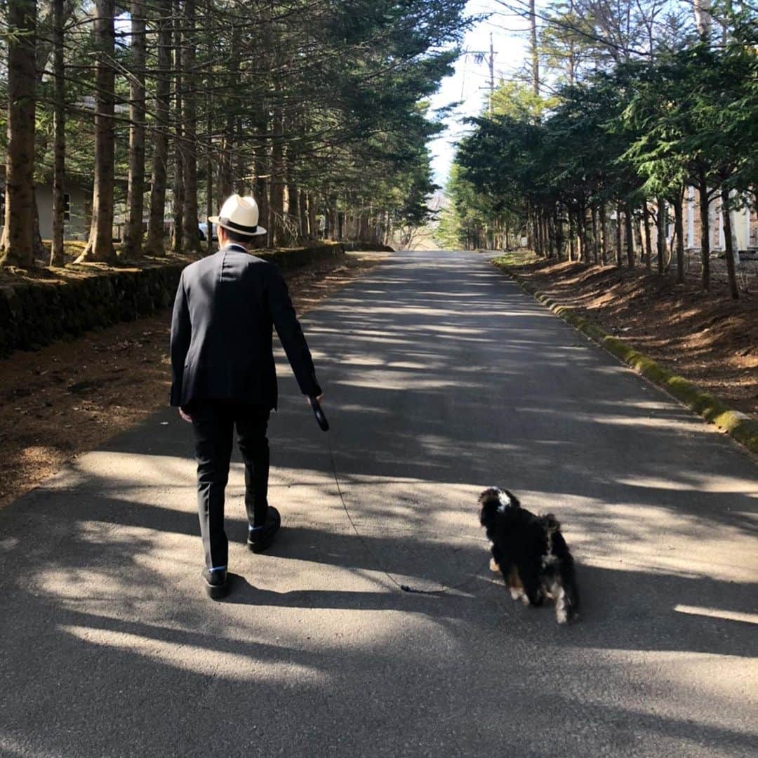 高橋幸宏さんのインスタグラム写真 - (高橋幸宏Instagram)「さて、パスキャルと家の近所をお散歩、 まだまだ足元がおぼつかない、、、坂道怖い。同じの(動画)が何度も出てきます🙇‍♂️🙏✨ #pascal  #お散歩  #angel」4月24日 18時30分 - room66_yukihiro