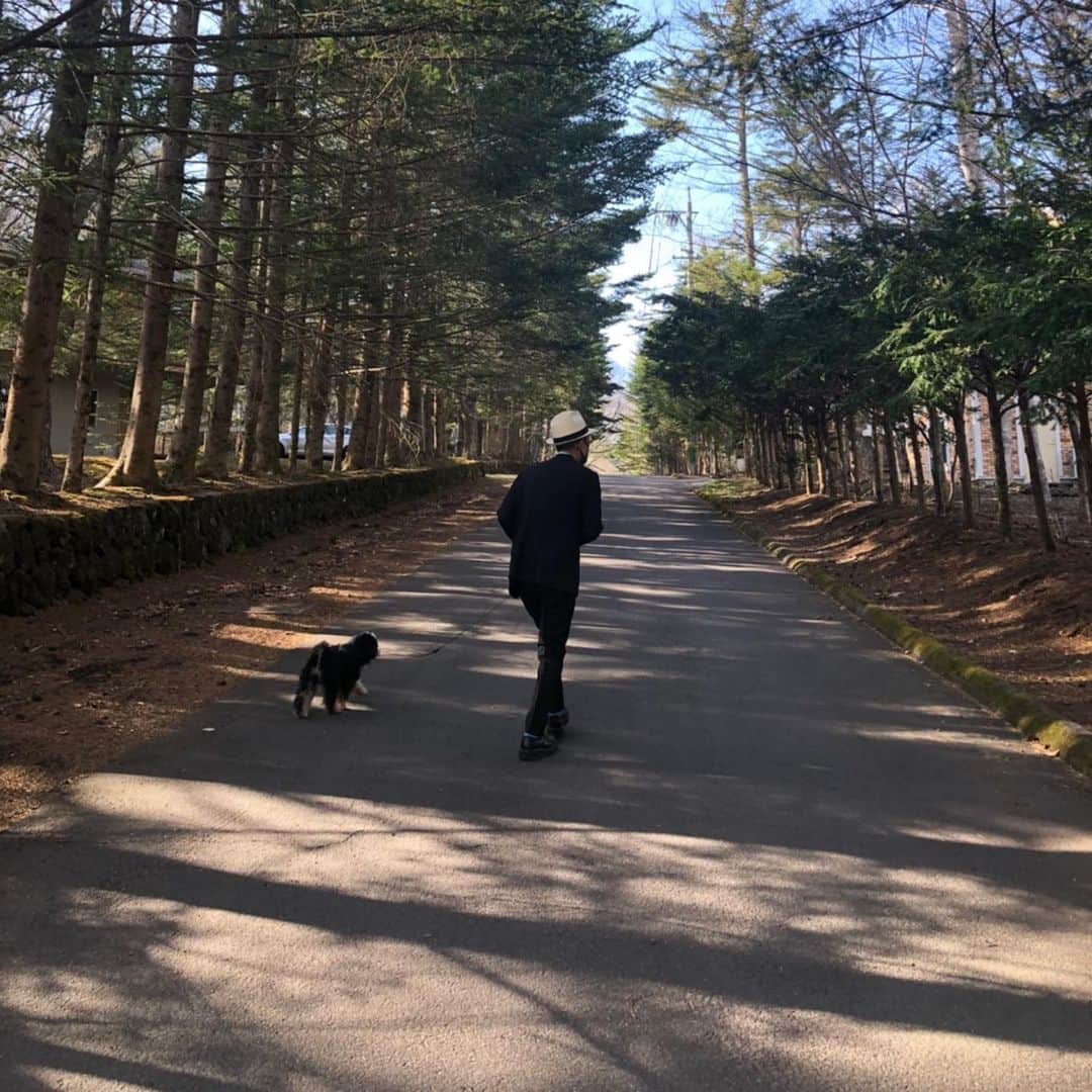 高橋幸宏さんのインスタグラム写真 - (高橋幸宏Instagram)「さて、パスキャルと家の近所をお散歩、 まだまだ足元がおぼつかない、、、坂道怖い。同じの(動画)が何度も出てきます🙇‍♂️🙏✨ #pascal  #お散歩  #angel」4月24日 18時30分 - room66_yukihiro