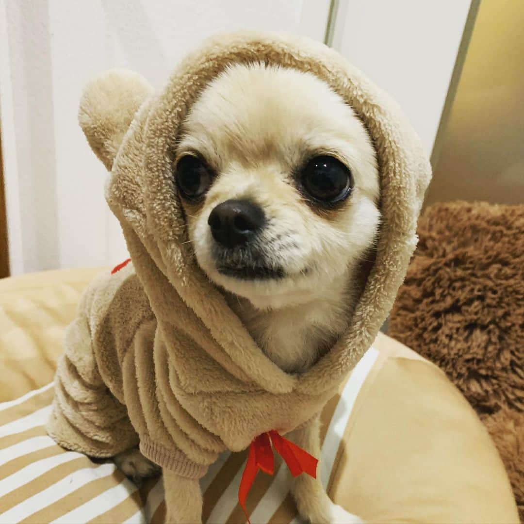 岸本哲也のインスタグラム