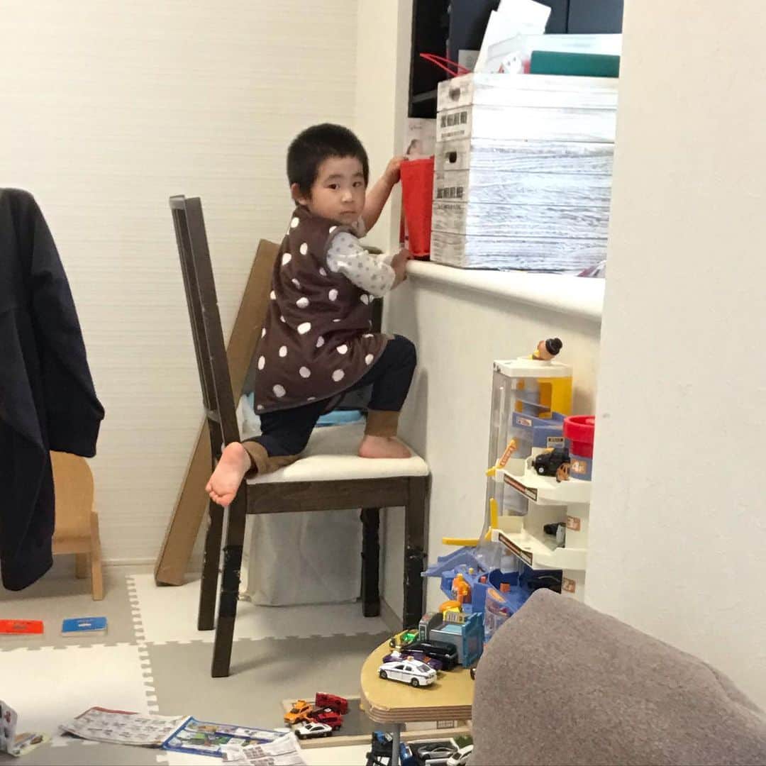 高橋みゆきのインスタグラム：「正解は…心坊でした👦まぁ師匠はクラ吉なんですけどね🐶クラ吉がやってるのを見て真似した😅そしてこれもイタズラしてる👦 #お手本クラ吉 #イタズラ顔」