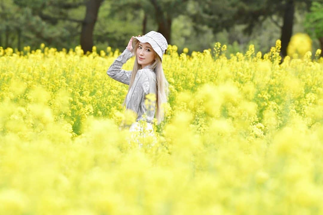 美咲あいりさんのインスタグラム写真 - (美咲あいりInstagram)「🌼﻿ ﻿ ﻿ ﻿ #Rapeblossoms」4月24日 22時50分 - misakiairi