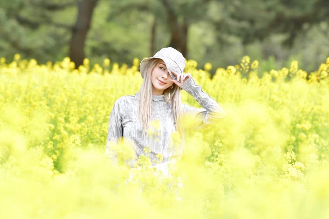 美咲あいりさんのインスタグラム写真 - (美咲あいりInstagram)「🌼﻿ ﻿ ﻿ ﻿ #Rapeblossoms」4月24日 22時50分 - misakiairi
