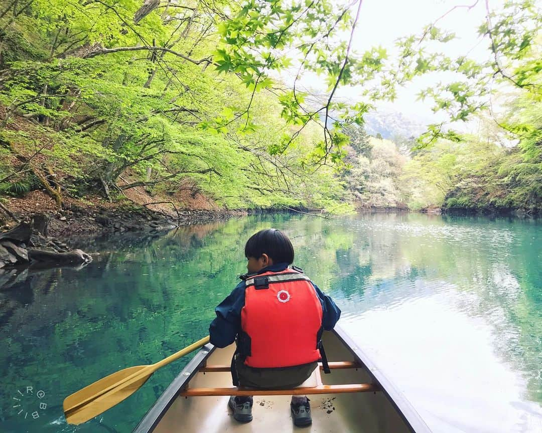 rabbiiiiiさんのインスタグラム写真 - (rabbiiiiiInstagram)「* 🛶👦🏻🌿 * * #Gunmagram #igersjp #oldtowncanoe  #lotusdesigns * Location: Gunma 🇯🇵」4月25日 14時49分 - rabbiiiii