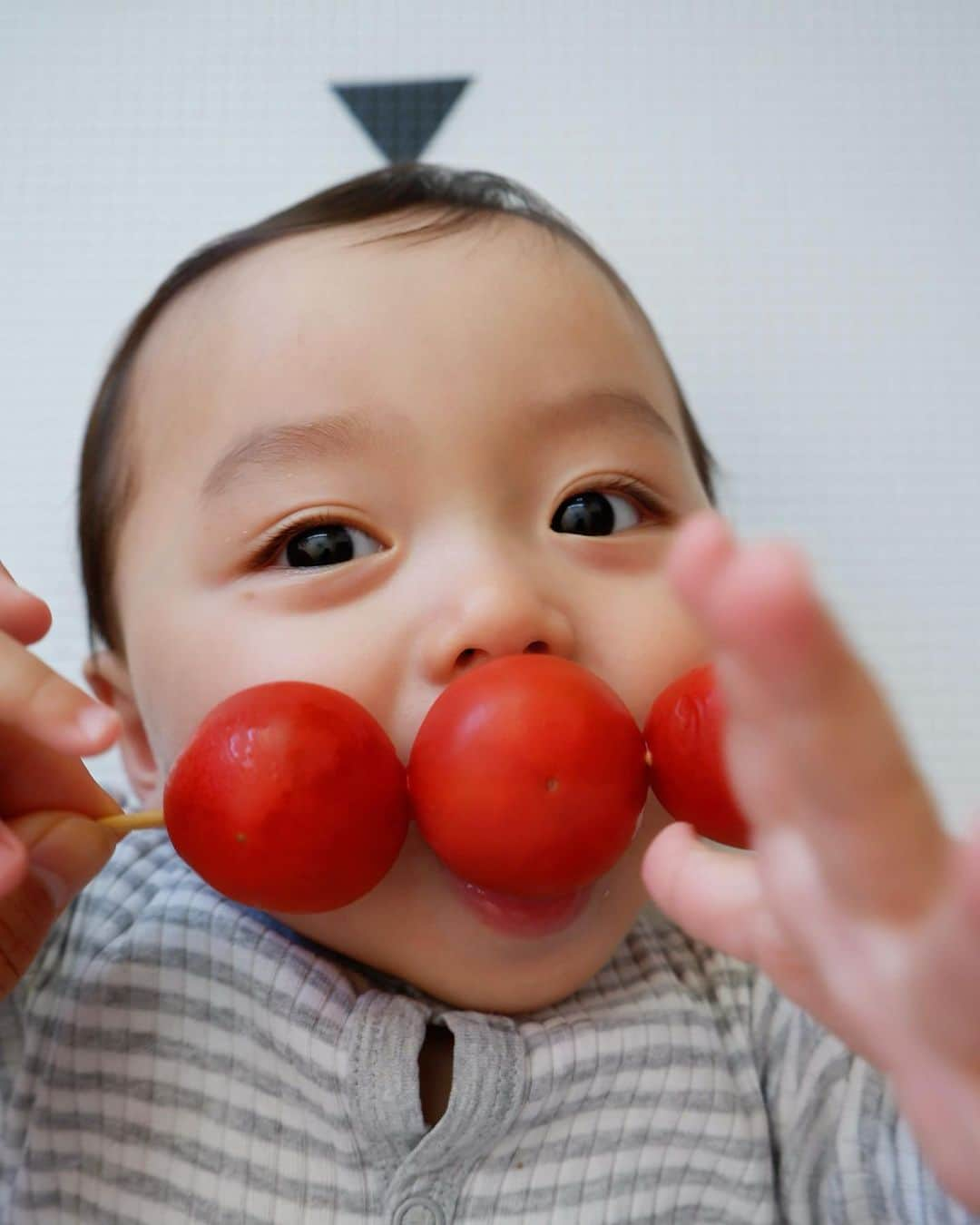 武智志穂さんのインスタグラム写真 - (武智志穂Instagram)「食いしん坊のこの人は、トマト大好きで食べようとするから、全然アンパンマンショット撮られへんかった🍅🤤  #二卵性双生児 #双子ママ #双子育児 #えいけんdiary」4月25日 13時22分 - shiho_takechi