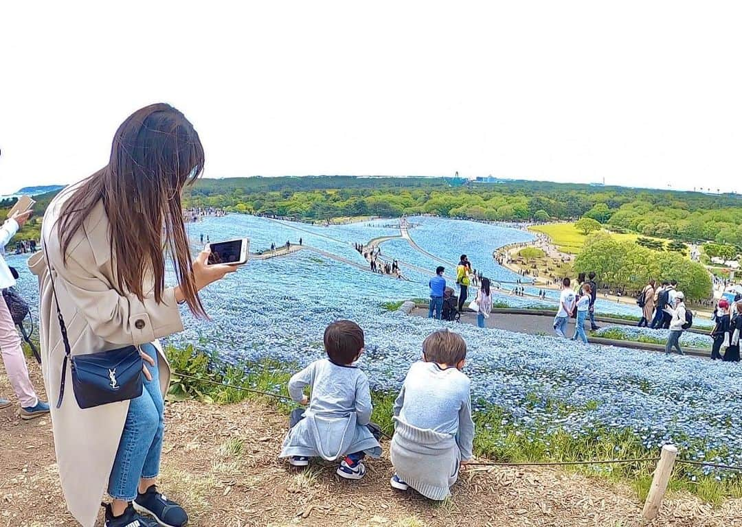 牧村麻美のインスタグラム：「ネモフィラさん。 長男👦「全部空みたい！」って言ったけど、本当に全部空みたいで凄い景色だった🟦  #放置し過ぎたからこちらにも #DMくれた方達有難う #元気よ元気 #茨城#ひたち海浜公園 #ひたちなか #ネモフィラ#ネモフィラの丘 #帰りはさつまいもを何箱も段ボール買い#秋じゃなくてもさつまいも充実のひたちなか神なのかな」