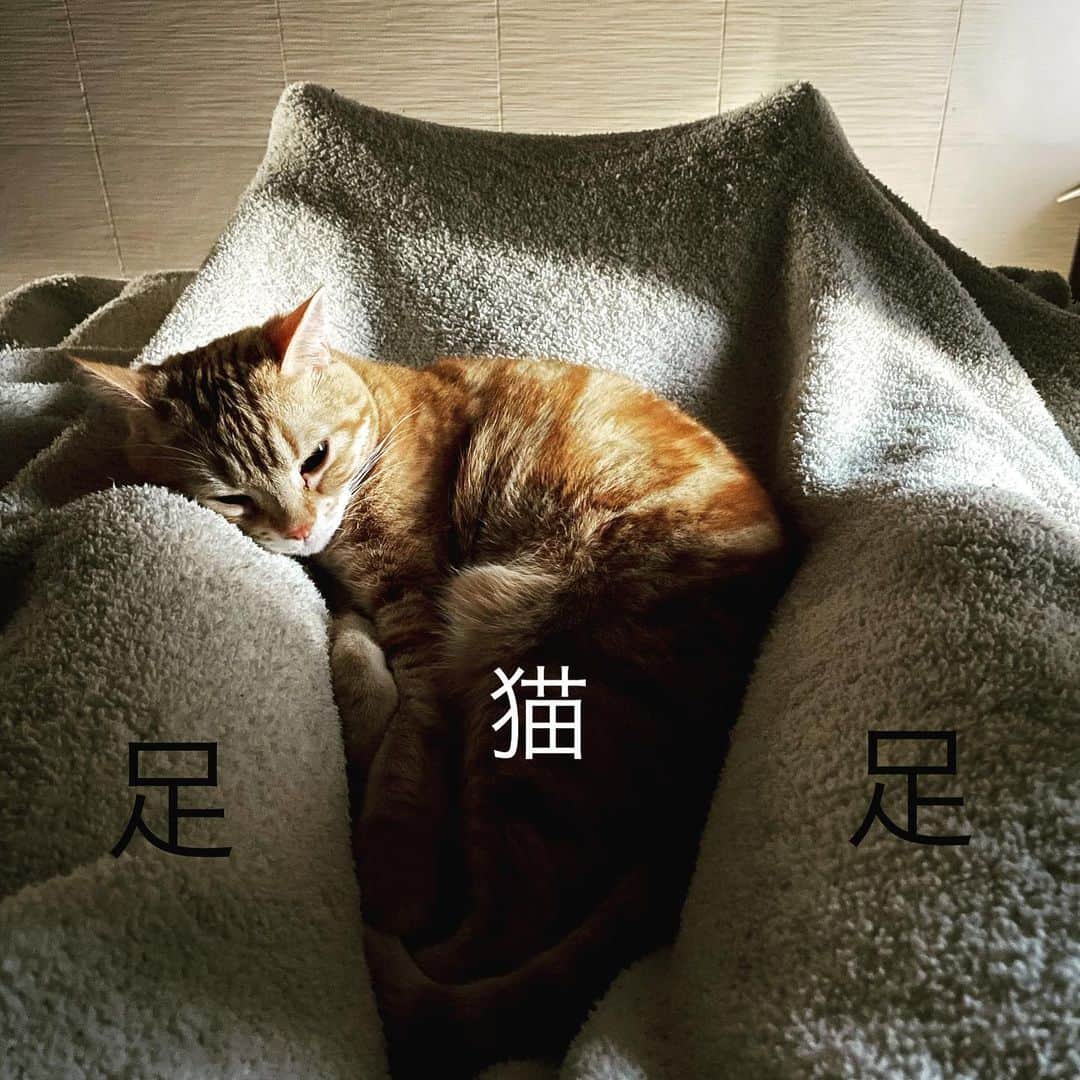 徳井義実のインスタグラム
