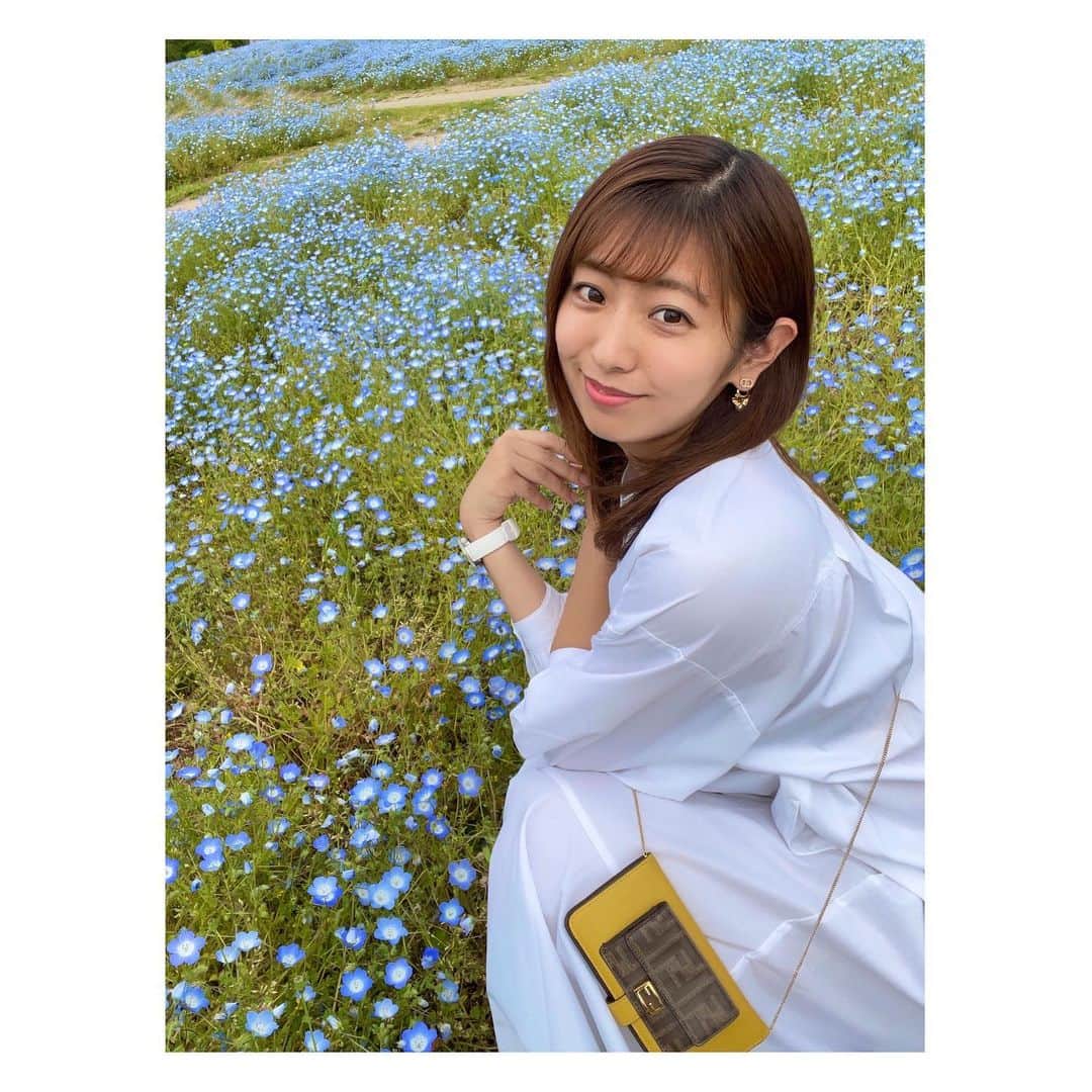白戸ゆめのさんのインスタグラム写真 - (白戸ゆめのInstagram)「🦋 . まんのう公園のネモフィラ👒✨ ポピーが合間から ひょっこり顔を出してるのも可愛かった🧡 . お花畑って癒されるなあ😇 . #香川 #まんのう公園 #四国 #絶景 #ネモフィラ #ネモフィラの丘 #青の世界　 #時折 #ポピー #ひげなし　 #お花畑 #お花畑コーデ #真っ白ワンピース #ホワイトコーデ #春コーデ #ゆめのの私服 #ゆめコーデ #私服 . one-piece: @gu_for_all_  #gu accessory: @dior #dior #ピアス iPhone cape: @fendi #fendi watch: @breitling_japan  #breitling #breitlingwatch  #superocean」4月25日 11時58分 - yumeno.s_