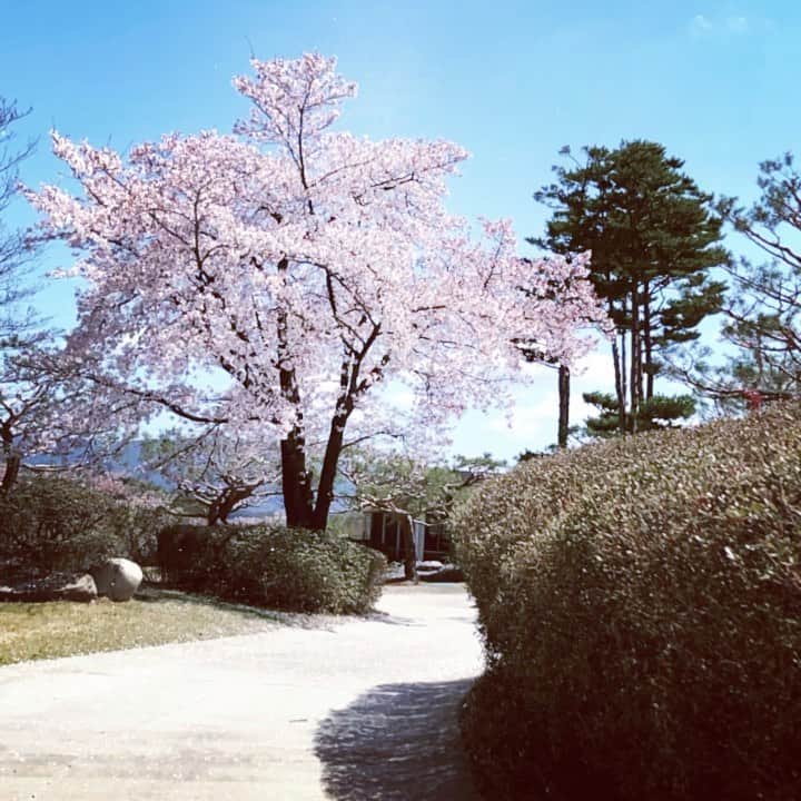 のインスタグラム：「굿나잇.....」