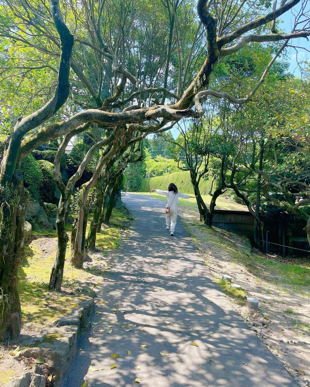 渕上彩夏さんのインスタグラム写真 - (渕上彩夏Instagram)「͙ ͙ ͙ カドリードミニオンな日曜日。  いつもテレビで見ていた黒田さんとカイくん（ニホンザル）コンビのプーキーズを生で見て感激した私たち🥰  熊本の緑はどこも綺麗だけど 阿蘇の緑は一際いきいき、あざやか綺麗だった🌿  アルパカもペンギンもポニーもくまも みんな気持ちよさそうに過ごしてました😊🌼  ソフトクリームも美味しかった！  りこちゃん、ゆきくん楽しかったね☺️♡  #カドリードミニオン #ぷーきーず  #プーキーズ #阿蘇 #熊本 #熊本よかとこ #ドレスコードはオーバーオール　♡」4月25日 18時23分 - ayakafuchigami725