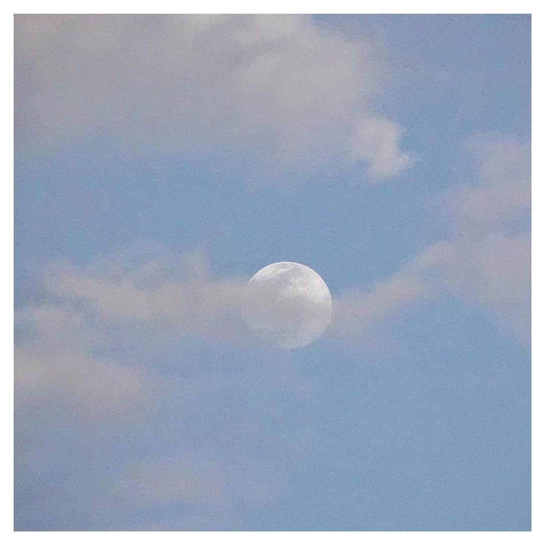 さだまさしさんのインスタグラム写真 - (さだまさしInstagram)「満月🌕まもな〜✨ 火曜日ちょっと忙しいので（笑） フライング満月🌕 . #満月 #さだまさし #sadamasashi」4月25日 18時55分 - sada_masashi