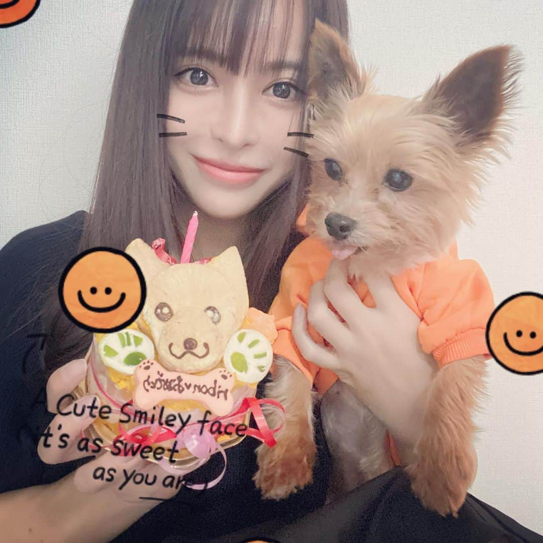 ririさんのインスタグラム写真 - (ririInstagram)「Happy Birthday🎂🧸 My sweet Ribon🎀🐶🎀 出会って13年がたちました💓 飼い始めた頃は 右も左も分からず たくさん迷惑かけてごめんね😹 リボンのおかげで ママはたくさん成長することが できました✨✨✨ リボンが家に来てからは 辛いことも悲しいことも なんかすっごくどうでもよく 思えて😂 毎日リボンと楽しい生活を 送ってこれました🍀 アタシ自身もさらにプラス思考にポジティブになれたょ🐸 たぁぁくさん ラブラブしたょね💓💓💓 これからも元気で素直な 優しいリボン🎀でいてね❤️ 大好きです🐶🐶🐶  今日はたくさんお散歩して ケーキ食べて今は爆睡してる😹 幸せいっぱい良かった良かった❤️ #love #happy #smile #dog #yorkie  #yorkshireterrier」4月25日 18時49分 - riri.ribon