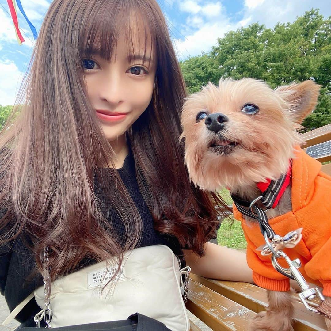 ririさんのインスタグラム写真 - (ririInstagram)「Happy Birthday🎂🧸 My sweet Ribon🎀🐶🎀 出会って13年がたちました💓 飼い始めた頃は 右も左も分からず たくさん迷惑かけてごめんね😹 リボンのおかげで ママはたくさん成長することが できました✨✨✨ リボンが家に来てからは 辛いことも悲しいことも なんかすっごくどうでもよく 思えて😂 毎日リボンと楽しい生活を 送ってこれました🍀 アタシ自身もさらにプラス思考にポジティブになれたょ🐸 たぁぁくさん ラブラブしたょね💓💓💓 これからも元気で素直な 優しいリボン🎀でいてね❤️ 大好きです🐶🐶🐶  今日はたくさんお散歩して ケーキ食べて今は爆睡してる😹 幸せいっぱい良かった良かった❤️ #love #happy #smile #dog #yorkie  #yorkshireterrier」4月25日 18時49分 - riri.ribon