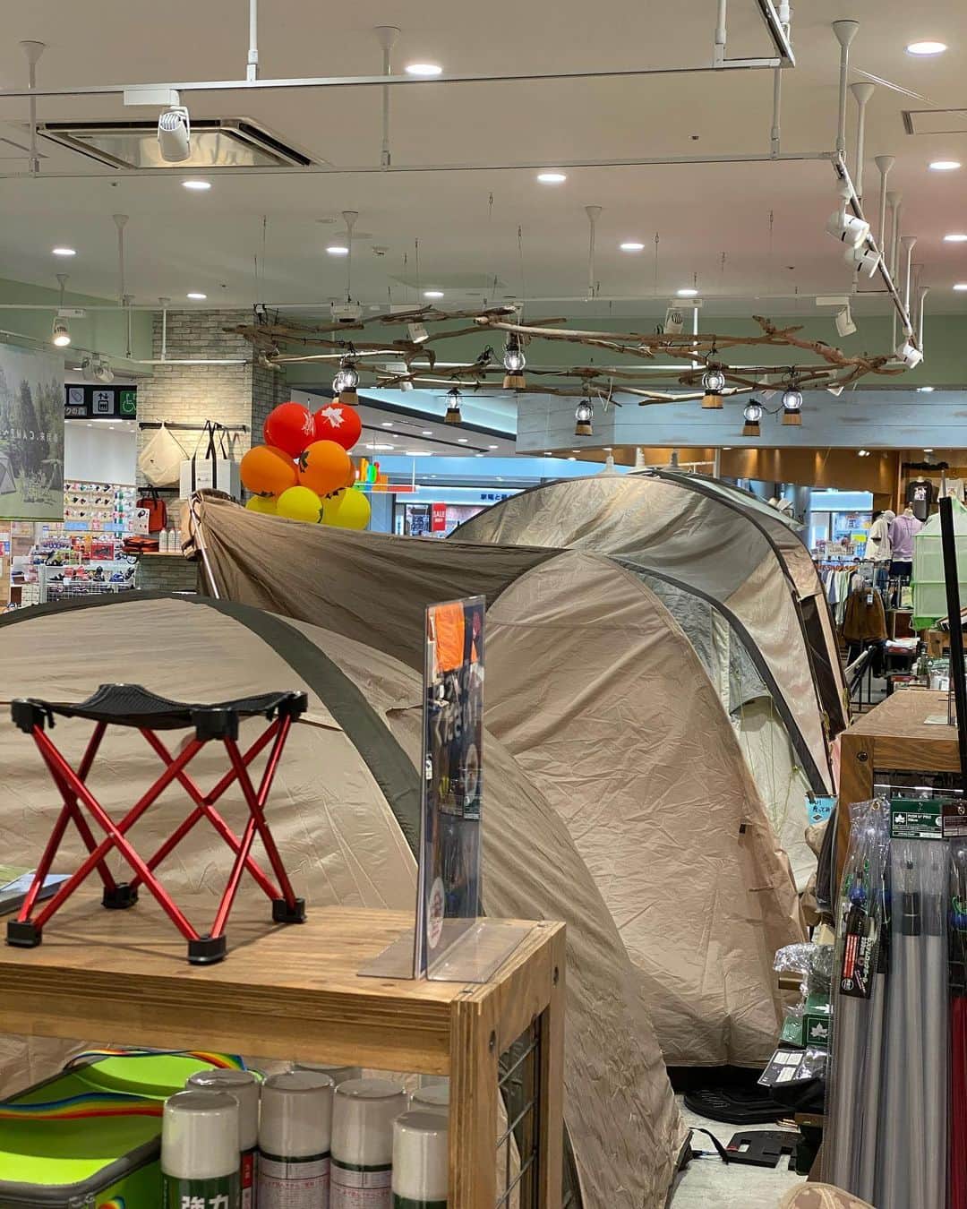水元秀二郎さんのインスタグラム写真 - (水元秀二郎Instagram)「写真じゃ伝わらないんですが、キャンプ場を作ろうと、テント３つ買うの巻。 #ロゴショップ#テント#アウトドア」4月25日 19時21分 - gangsta.hidejiro