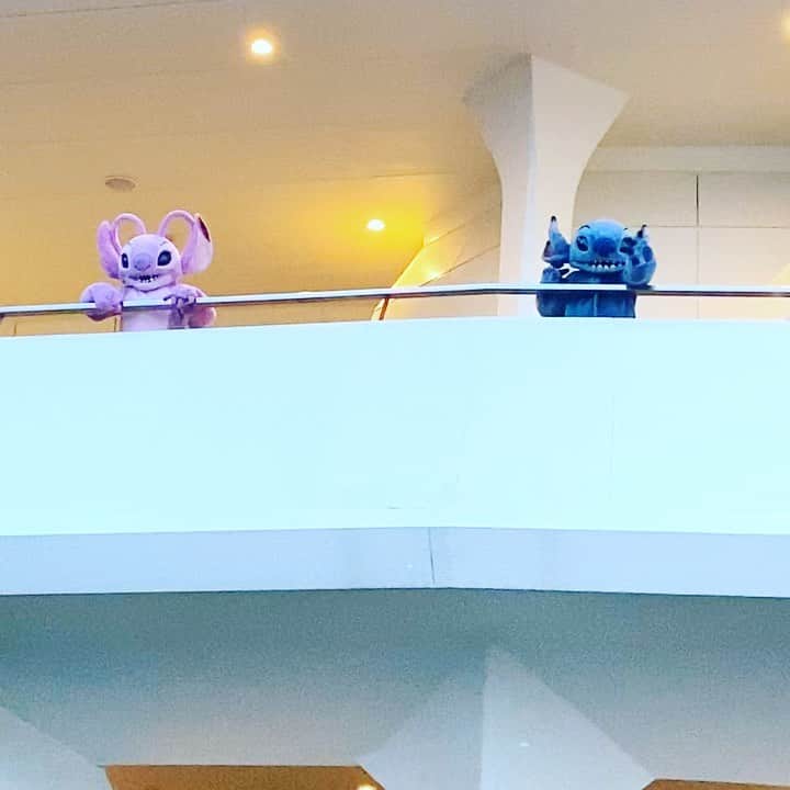Shinnosukeのインスタグラム：「可愛い😍😍😍  #スティッチ #エンジェル #spacemountain #disneyland #stitch #angel」