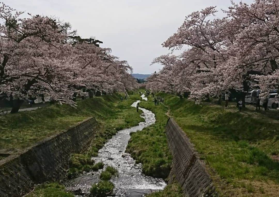 佐藤美樹さんのインスタグラム写真 - (佐藤美樹Instagram)「. 新緑から降り注ぐ光 . 優しい風が 心を和ませてくれます🌿 . . 母から桜の写真が届きました🌸 . 来年は、地元の桜を 見に行けたらいいなぁ。。 . 今は、家族や周りの人たちが 健やかに過ごせていることが幸せ . . 🌸🌸🌸 .  *-*-*-*-*-*-*-*-*-*-*-*-*-*-*-*-*-*-* #新緑  #優しい風  #風が気持ち良いと思えることが嬉しいよの #🌸  #桜  #桜2021  #桜ポートレート  #春  #春爛漫  #毎年の楽しみ  #帰省したいけど我慢する #撮影  #ポートレート  #被写体  #フリーアナウンサー  #女子アナ  #佐藤美樹」4月25日 21時32分 - satomiki0224