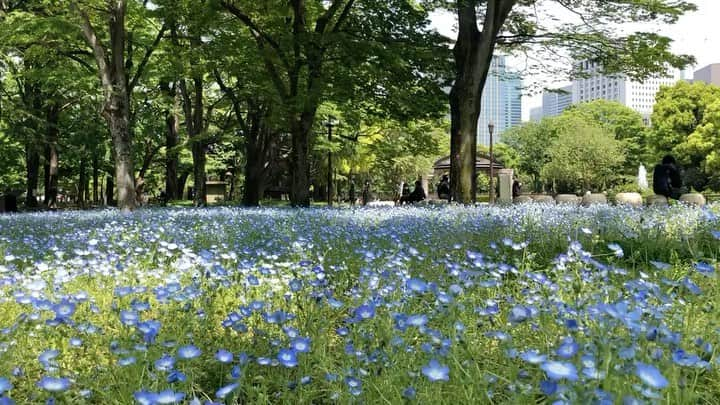 星野涼子のインスタグラム