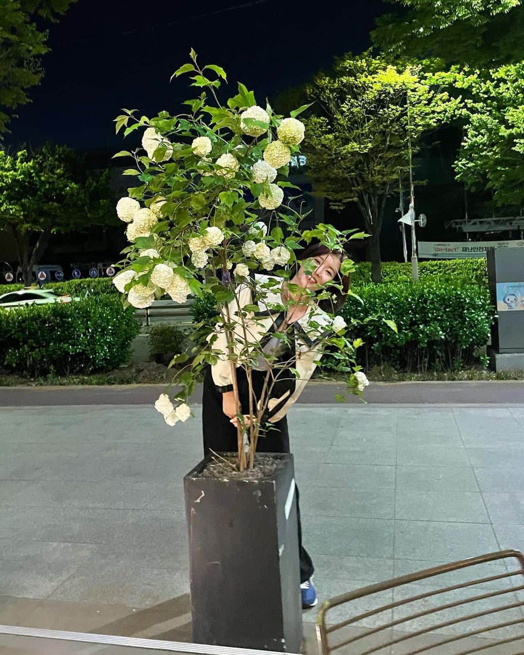 イム・スヒャンさんのインスタグラム写真 - (イム・スヒャンInstagram)「꽃만 보면 기부니 조크든요 🌸」4月26日 18時43分 - hellopapa11