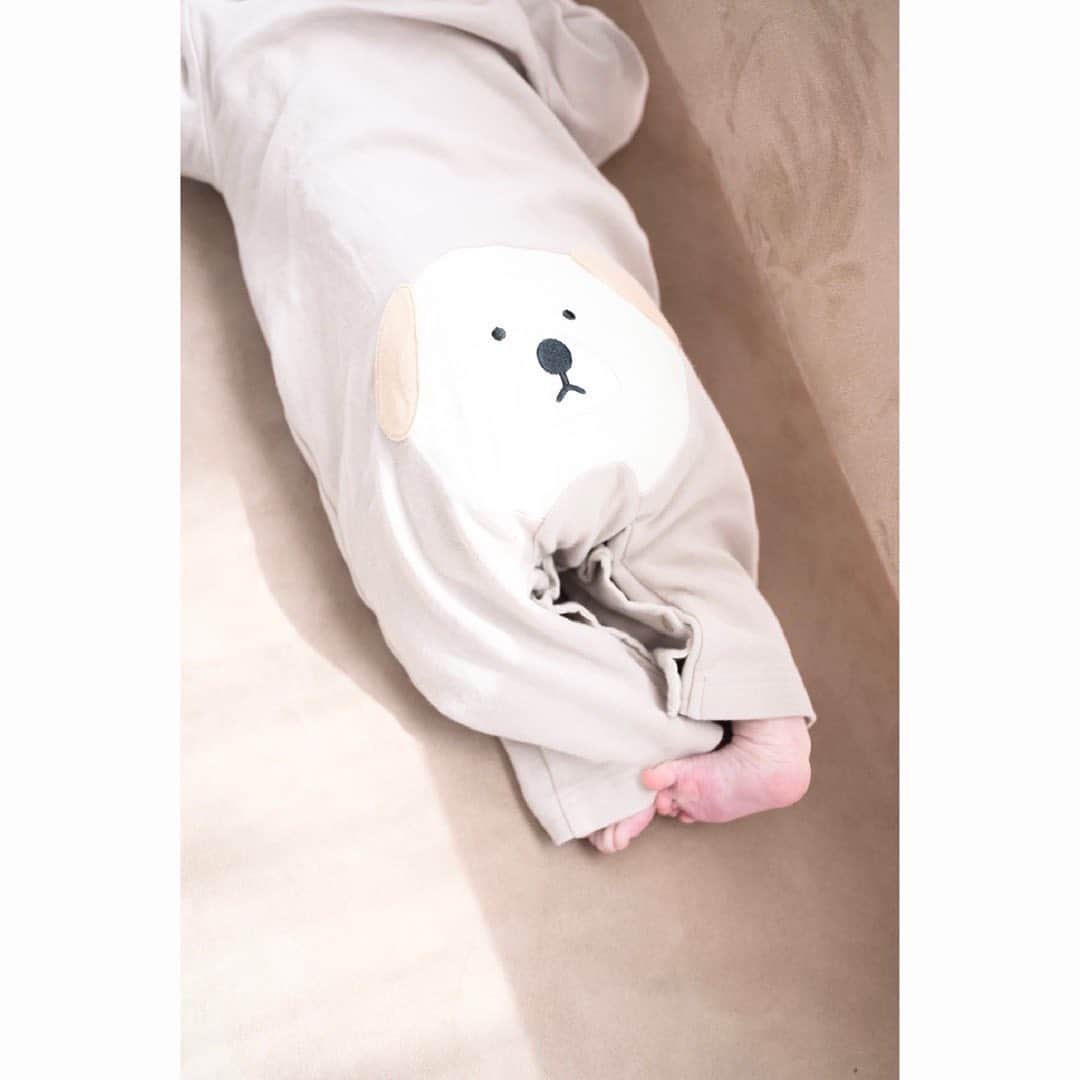 のインスタグラム：「_ 🐶🤎  thanks @sakaitakahiro_ @idolmakekind @chie_make_up」