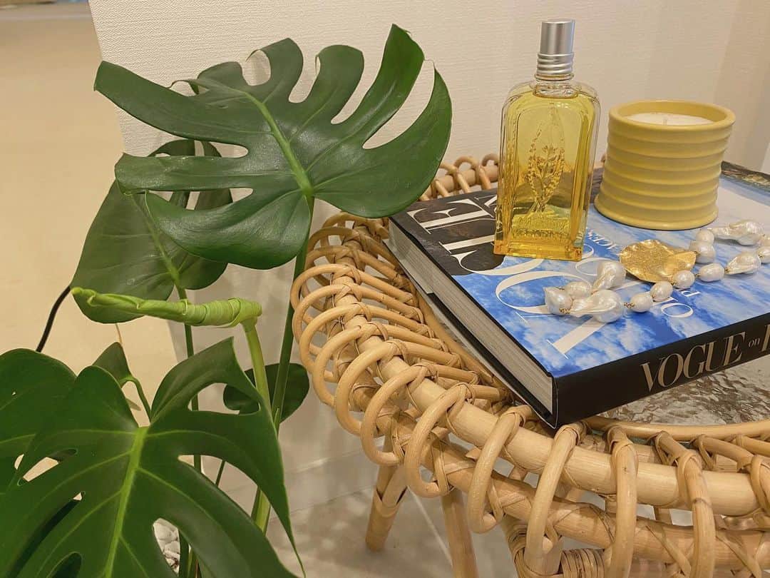 近藤千尋のインスタグラム：「ロクシタンの限定フレグランス シトラスヴァーベナオードトワレが仲間入り🌼🍊🍋 柑橘系だけど爽やかでハッピーに なれる香り😍✌️♥️ ひーぼぉくんとシェアして 使いたい香りだなぁ🥰 #ロクシタン #夏恋フレグランス #シトラスヴァーベナ #恋ハーブ #pr @loccitane_jp」