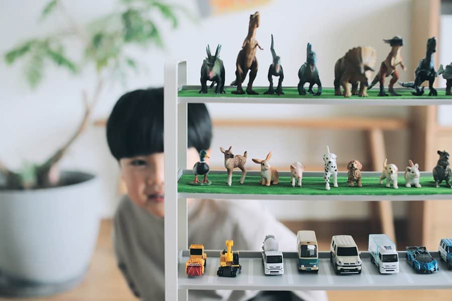 きなこのインスタグラム：「息子お気に入りのトミカやフィギュアたち🦕 以前はそれぞれボックスに分類して収納していたのですが、ボックスの中で迷子になってしまったり、お気に入りを並べて飾りたい！という息子の要望もあり、最近はディスプレイ収納に。トミカを車庫に、動物たちはおうちに帰らせてあげるようで、お片付けも楽しくなるみたい。大事なおもちゃが行方不明にならないのもいいな。大人もお気に入りのものは飾っていたいもんね😁  ディスプレイしていないおもちゃは無印の引き出しケースで「トミカ」「みずべのいきもの🐢」「りくのいきもの🦌」と分けて収納しています。トミカをスッキリぴったり並べて駐車できて気持ちいい🙌  ▶︎おもちゃ収納についてブログでまとめてます☺︎ ▶︎トミカやプラレール収納に使えるディスプレイラック、引き出し、フィギュアなどroomに載せてます☺︎ → @kinako_710」