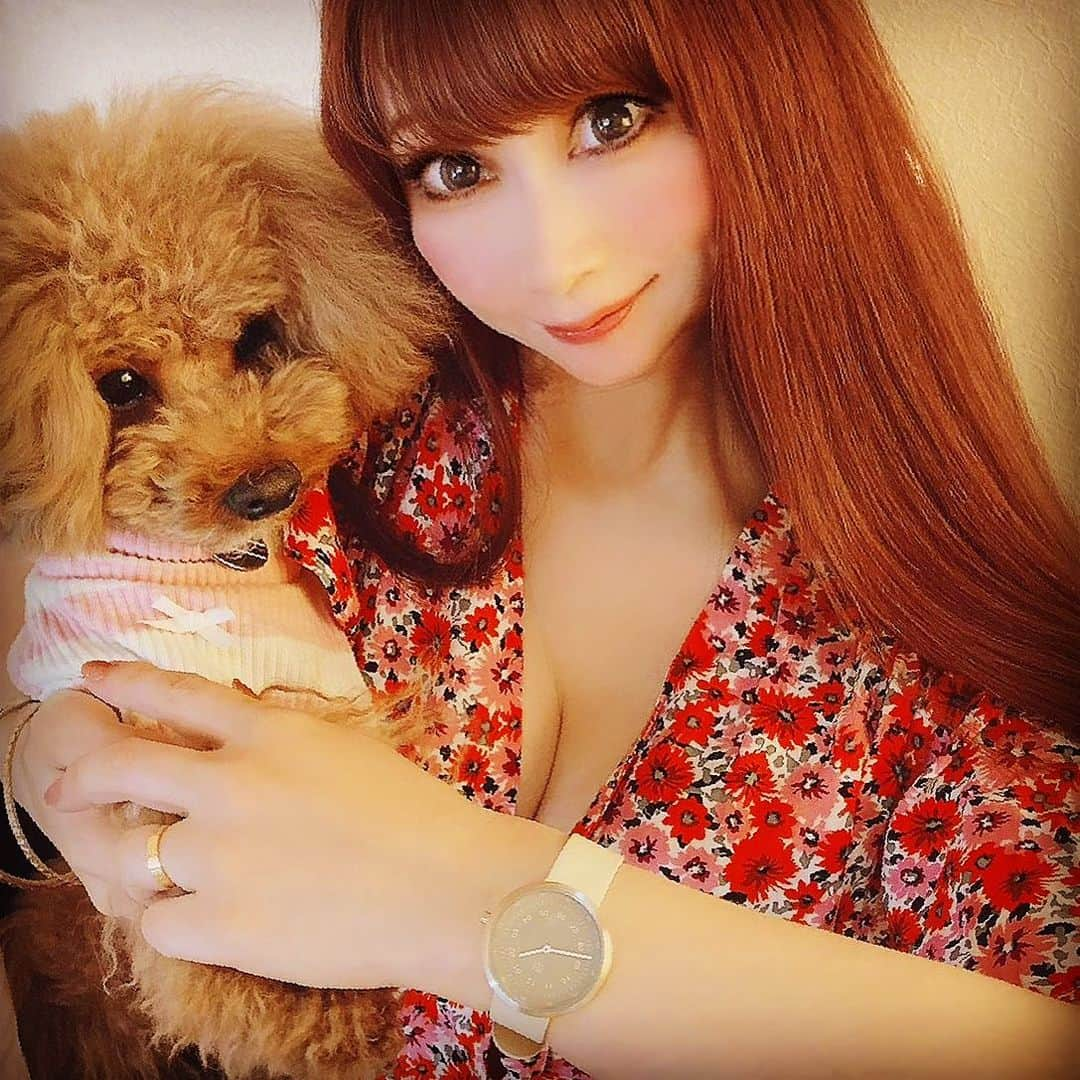 椿京子のインスタグラム：「Hey guys 💛 My favorite Watch⌚️♥️ 🌟 こんばんは〜(^_−)−☆💕 愛犬🐶レンとネザーランドドワーフのラブ🐰と撮影📸をしたの〜😉💕💕💕💕 🌟 撮影📸はね〜 スモークグリーンフェイスにクラシカルなシルバーのケースをマッチさせた時計⌚️がね〜 @mavenjapan  マベンウォッチズの時計⌚️でね〜(๑˃̵ᴗ˂̵)💕 🌟 ベルトにはオフホワイトの高級イタリアンレザーを使用して肌なじみが良いの〜😍 お気に入りだからヘビロテなの〜笑っ^_−☆💕 🌟 京子はペアウォッチ⌚️にしたいから34mmをセレクトしたの〜😉💕 10%OFFクーポンコード👉【kyokodo28】 🌟 レン🐶とラブ🐰と京子を今週もどうぞよろしくね〜🙈💕 今日も見てくれてありがとうね〜🥰 どうか優しさに包まれる1日🌺になりますように😘 🌟 #マベン#マベンウォッチズ#時計#腕時計#mavenwatches#ギフト#トイプードル#ネザーランドドワーフ#shooting #mypet🐶#thankyoueveryone  #loveeveryone  #loveyou 😘」