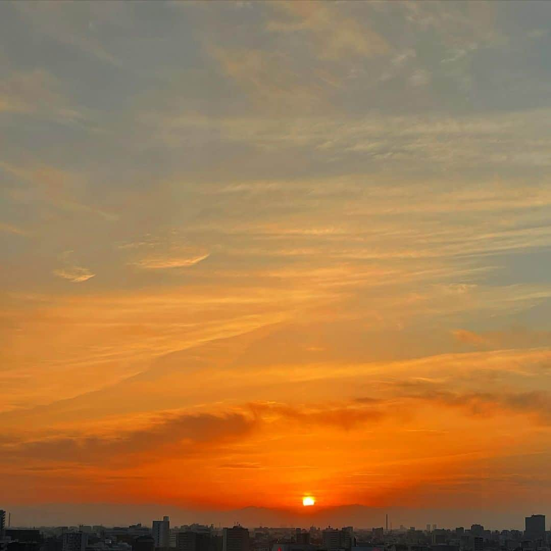 野崎萌香さんのインスタグラム写真 - (野崎萌香Instagram)「Late afternoon Tokyo🌆」4月26日 21時35分 - moeka_nozaki