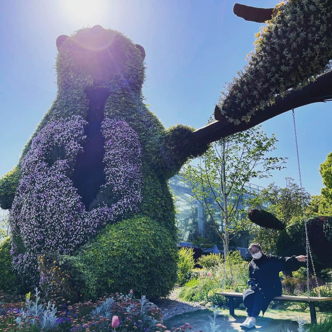 鈴木砂羽さんのインスタグラム写真 - (鈴木砂羽Instagram)「今年は母と一緒に フラワーパークの藤棚を 見に行くことができました。  天気が最高に良くて 風に揺れる藤、美しかった。 鬼滅の刃の藤襲山を 思い出しちゃったよね😙  昨年は藤が終わって、 バラ園の薔薇たちが 終わりかける頃、 紫陽花を見に来ました。 あれから一年近く、、、 早いもんだなぁ。。。  どんな時でも花は美しい。 どんな時代もみんながそれぞれの 花であればいいな、と思う。  来年は夜のライトアップも 見られたらいいなぁ✨  #浜松市 #フラワーパーク #藤棚 #鬼も逃げ出す #藤の花  #花にネガティブ性なし  安定の #木香薔薇  ワタシは花はモッコウバラが 一番好きです💛」4月26日 22時28分 - bombon_sawa