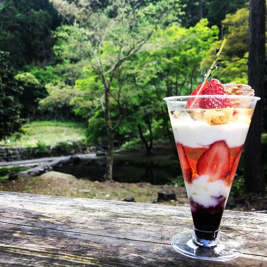 太田雄貴のインスタグラム：「森の中でパフェを食べました✨」