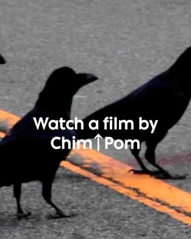 エリイ のインスタグラム：「Posted • @artbasel 📽️ Watch now: Chim↑Pom's ‘BLACK OF DEATH’ focuses on current social issues.    In this documentary, the artist collective uses a stuffed crow and recordings of crow calls to attract a flock of birds. The species, which have infested Japan for quite some time, have gradually become smarter and have learned to feed on livestock. The method demonstrated in this film allowed people to shepherd the birds away.   Visit artbasel.com or click the link in our profile to screen the full piece – exclusively available online for the next two weeks. — Shown here: @chimpomart, ‘BLACK OF DEATH.’ The artist is represented by @anomaly_tokyo (Tokyo) and @mujintoproduction (Toyko).」