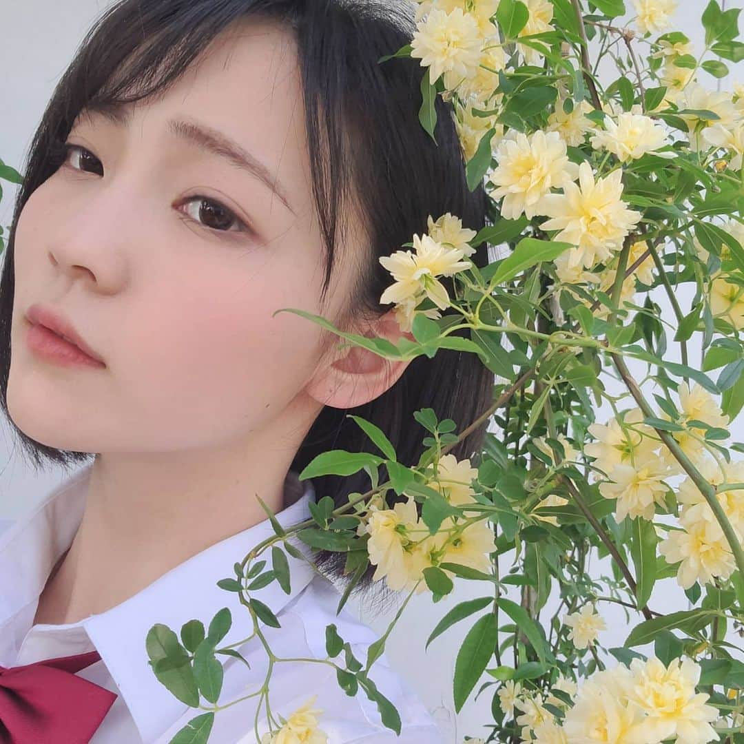 美ノ嶋めぐりさんのインスタグラム写真 - (美ノ嶋めぐりInstagram)「花に埋まってみた笑  #美ノ嶋めぐり #花 #春 #プレステージ #困り眉」4月27日 10時50分 - minoshimameguri