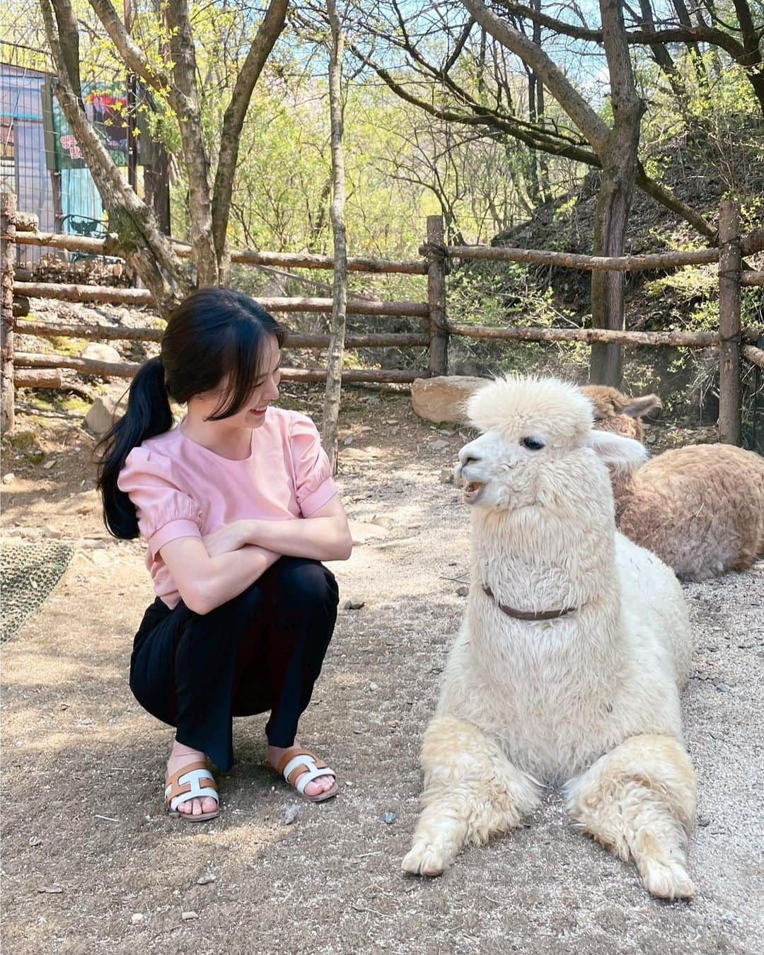 ハヌルさんのインスタグラム写真 - (ハヌルInstagram)「여러분 덕분에 오늘 행복한 하루에요!! 레코팅 1분컷 이라니...😭  매번 1차 수량 늘리고 있는데 품절속도는 점점 빨라지네요🔥  오늘 레코팀 비상 걸려서 부랴부랴 5월 신상 발주 더 넣고 ㅋㅋ 대책회의 했어요✨✨  점점 입소문 타나봐요,,,????? 소문좀 많이 내주세요😭😭😭💗  그런 의미에서 이번 레코 후기이벤트는 선물을 대박 상품 걸고 해볼까봐요><」4月27日 22時33分 - haneulina