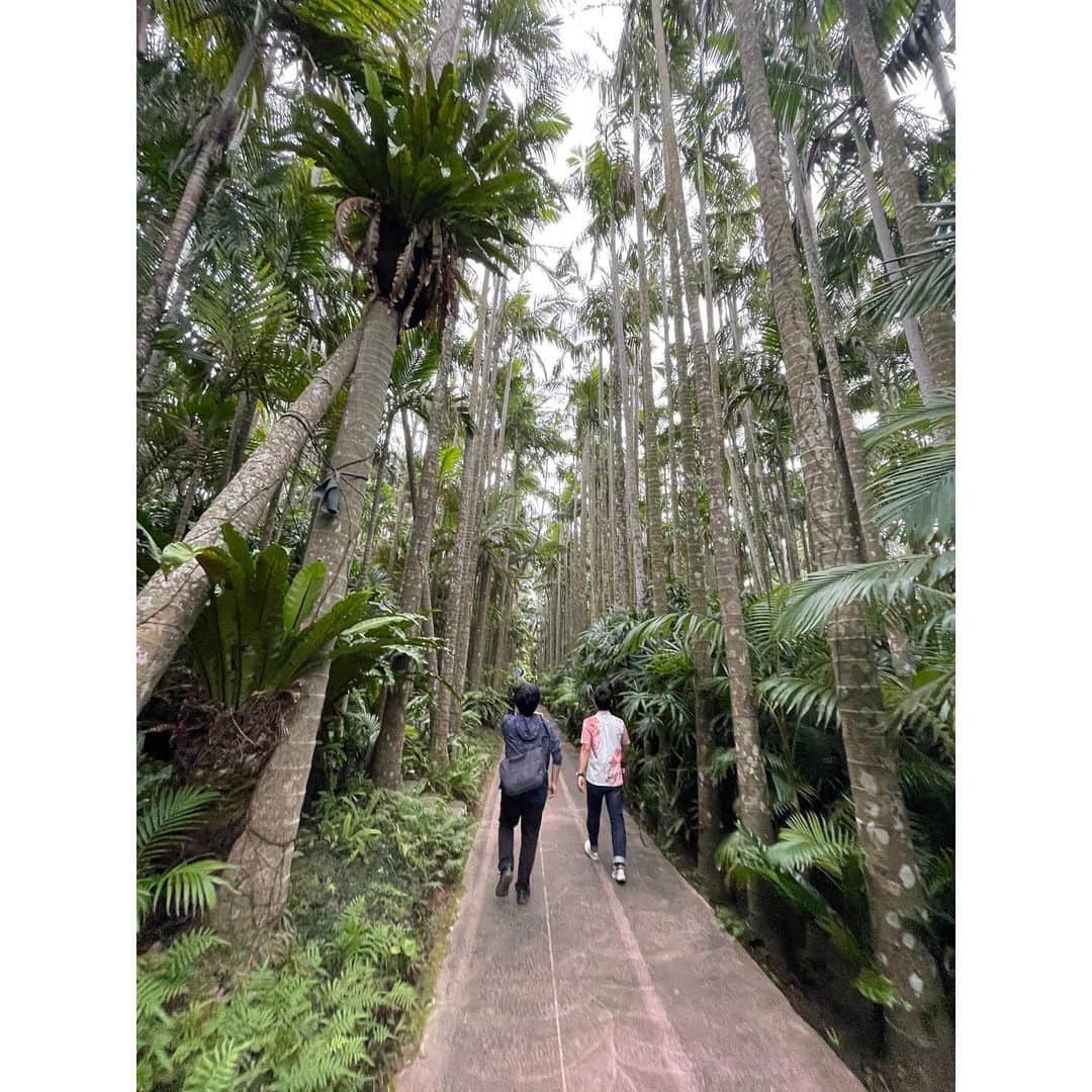 崎山一葉のグルメインスタ