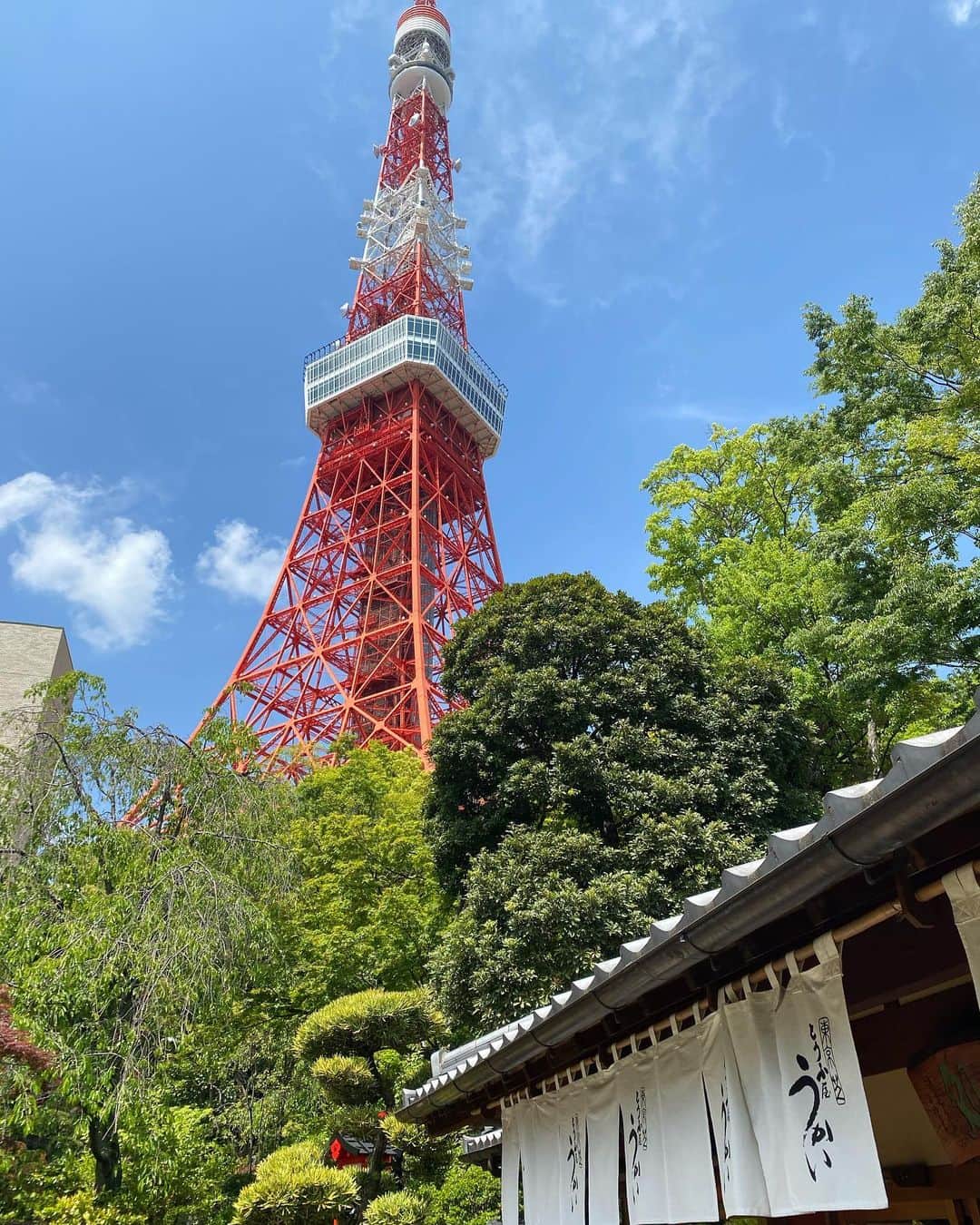 渋谷恭子さんのインスタグラム写真 - (渋谷恭子Instagram)「お着物👘のパワーって凄い😊  選んだのは @kimonokouei8 の真紀さんオリジナルの龍🐉のお着物と帯  ただ今、放送中のドラマ #桜の塔 でも #着物興栄 さんのお着物が使われてますよ！  ドラマ効果でお問い合わせやお貸し出しが増えているそうです✨  いよいよ今週の第3話で、私が以前着せて頂いたスカイツリーのお着物が登場しますよ！ 見逃せないわ✨✨✨  #着物 #きもの #着物興栄 #帯 #着物ヘア #ママ #ママコーデ #ママファッション #ママスタイル #ママライフ #銀座 #芝公園 #とうふ屋うかい #japanese #kimono」4月27日 17時00分 - kyoko.86