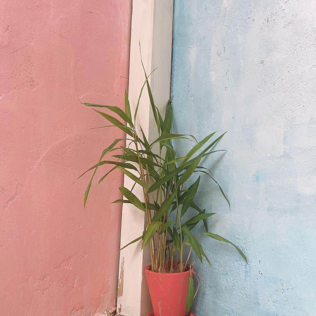 真奈さんのインスタグラム写真 - (真奈Instagram)「🟦」4月27日 19時15分 - manatmnt0116