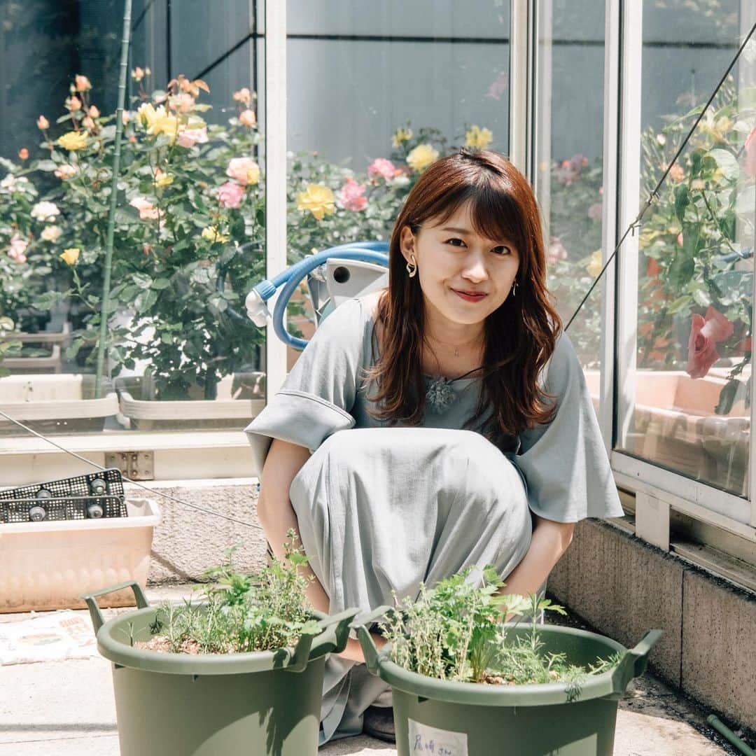 尾崎里紗さんのインスタグラム写真 - (尾崎里紗Instagram)「ガーデニング、はじめました🌼  帰宅部尾崎の挑戦シリーズ、これまで東京マラソン、 チームヴィーナス、Oggi企画ときて、 第４弾は「ガーデニング」に挑戦することに🌱✨ ドがつくほどの素人なので、初心者向けのハーブから育てることになりました！ （可愛い花が咲いて、食べられるって最強なのでは）  今はプランター２つですが、 ゆくゆくは道を歩いている人が3度見してしまうような、華やかなガーデンを目指して・・ ガーデニングしている方、アイディアなど頂けたら、 嬉しいです🌼🌸 . #バゲットガーデン #完成形は未定 #みんなで作っていけたら😌 #ハーブたちよ #すくすく育ってね🌱✨」4月27日 20時21分 - ozaki.risa