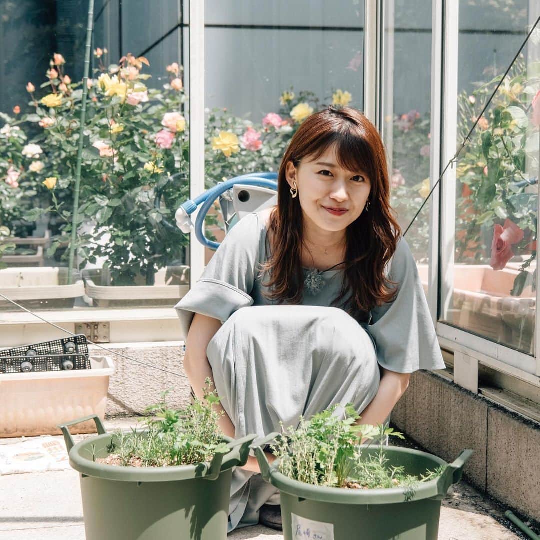 尾崎里紗のインスタグラム：「ガーデニング、はじめました🌼  帰宅部尾崎の挑戦シリーズ、これまで東京マラソン、 チームヴィーナス、Oggi企画ときて、 第４弾は「ガーデニング」に挑戦することに🌱✨ ドがつくほどの素人なので、初心者向けのハーブから育てることになりました！ （可愛い花が咲いて、食べられるって最強なのでは）  今はプランター２つですが、 ゆくゆくは道を歩いている人が3度見してしまうような、華やかなガーデンを目指して・・ ガーデニングしている方、アイディアなど頂けたら、 嬉しいです🌼🌸 . #バゲットガーデン #完成形は未定 #みんなで作っていけたら😌 #ハーブたちよ #すくすく育ってね🌱✨」