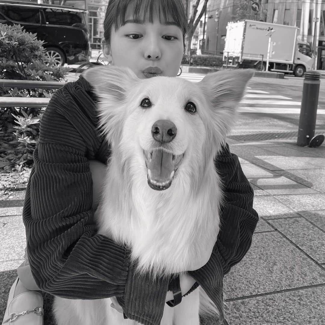 川口春奈さんのインスタグラム写真 - (川口春奈Instagram)「今夜22時〜2話！ 着飾る恋には理由があって🌸 みんなの癒し、りぃちゃん(こーじ)と一緒にぱしゃり📷 是非ご覧くださいね☺︎」4月27日 20時47分 - haruna_kawaguchi_official