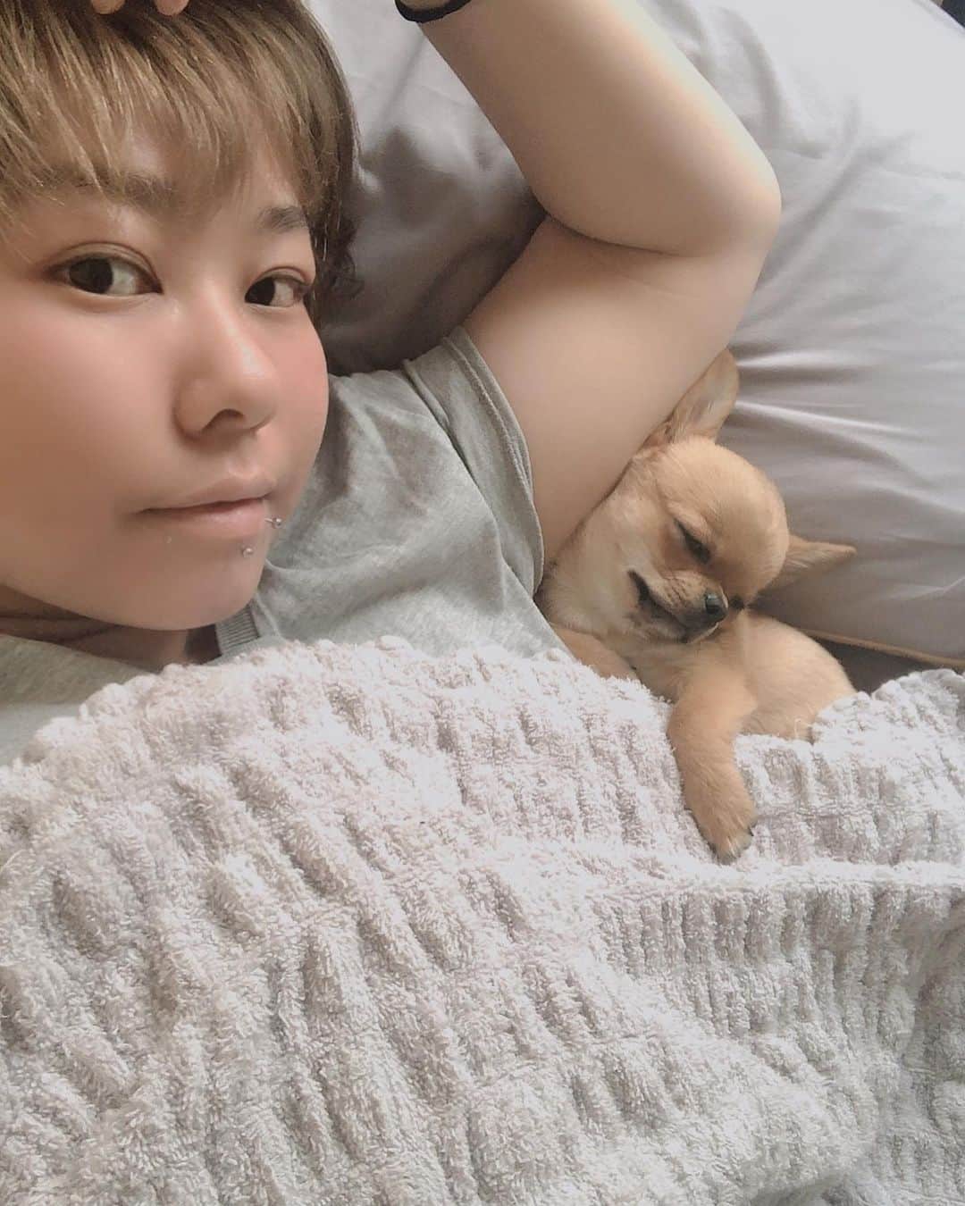 のインスタグラム