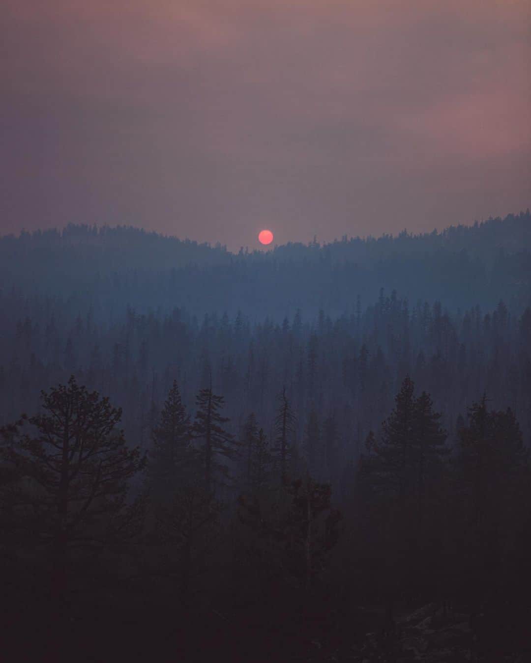 Cole Riseのインスタグラム：「Sunset through Yosemite fires, 2008. the quality of light through the smoke throughout the day was so surreal, it became a point of inspiration years later, when I used the color palette from this and another photo to create the Sierra filter on instagram.」