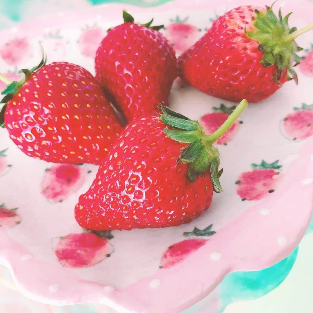 奥野香耶のインスタグラム：「* 　･ﾟ*｡🍓･ 　　･ *ﾟ｡　　 * 　 ･ ﾟ*｡･ﾟ  可愛いお皿で朝食🥞🥣🤍 やまぐちあさこさん(@yamaguchiasako )の作品🍓 いちごやレモンのお皿がとってもかわいくて 好きなのです ⁎ᵕᴗᵕ⁎  まだ1枚しか持ってないから集めたいな🍽 ⸝⋆︎* ・ ・ #お皿 #うつわ好き #うつわのある暮らし #お皿好き #いちご #🍓 #かわいいものが好き #朝食プレート」