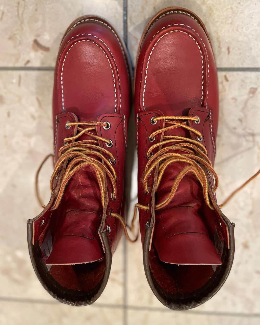 東野幸治のインスタグラム：「#redwing  #アイリッシュセッター ＃東野デニム」