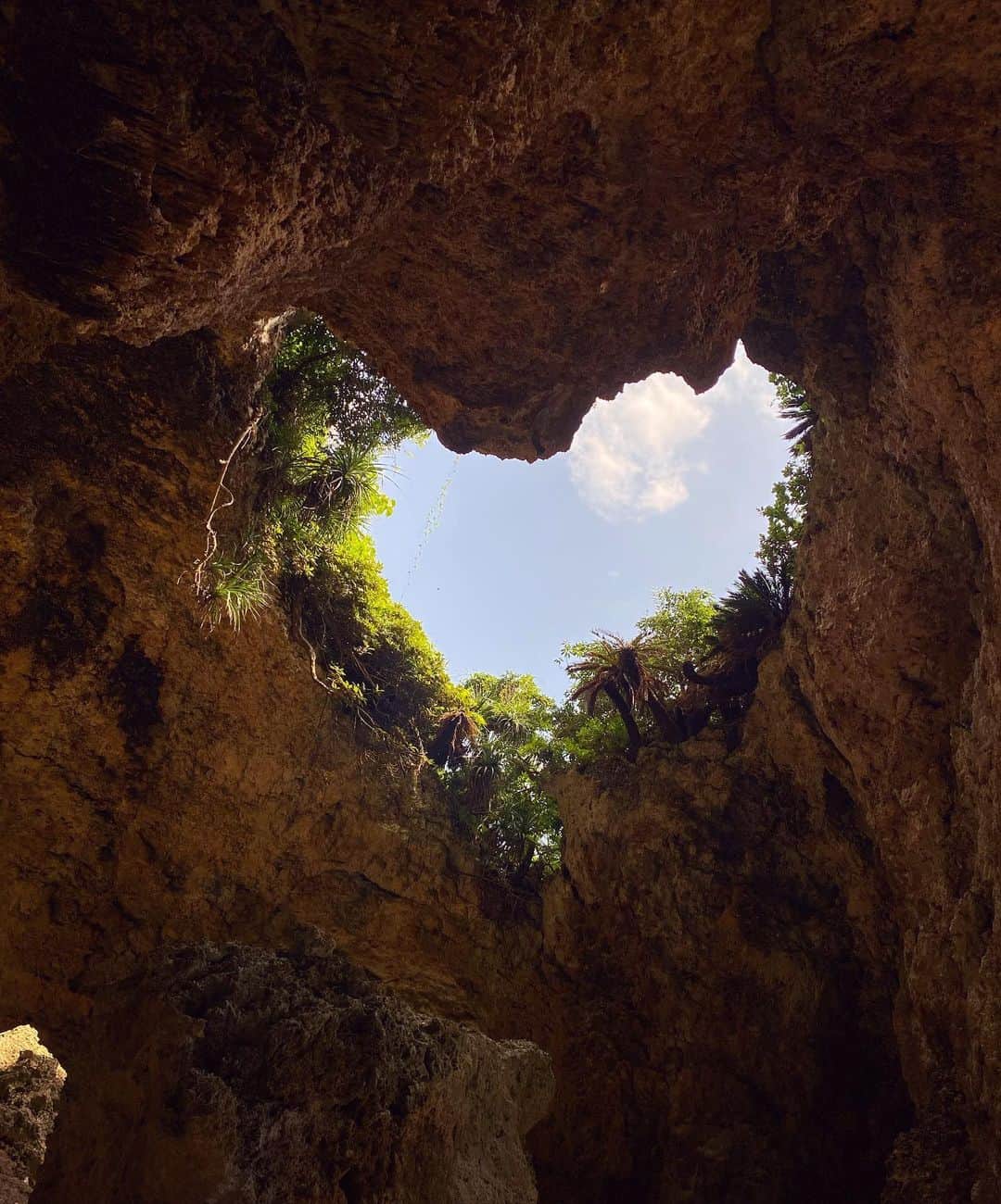 のインスタグラム：「💜💛💚💗  #古宇利島」