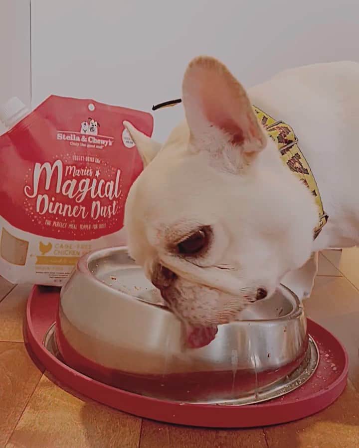 Sir Charles Barkleyのインスタグラム：「Barkley’s favorite @stellaandchewys topper right now is their Magical Dinner Dust! He licks the bowl clean every time! #nodirtydishes」