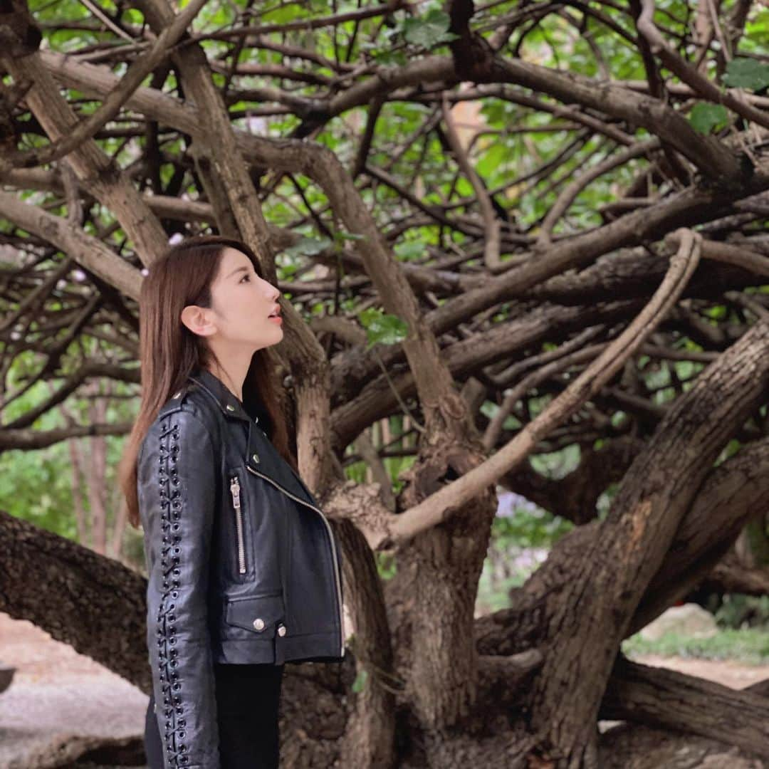 亜里沙さんのインスタグラム写真 - (亜里沙Instagram)「Natures like art🌳  這1年多来,我被台灣的大自然好療癒了💛 台湾に来てからたくさんの自然に幸せにしてもらったよん」4月28日 20時35分 - alisa_0302