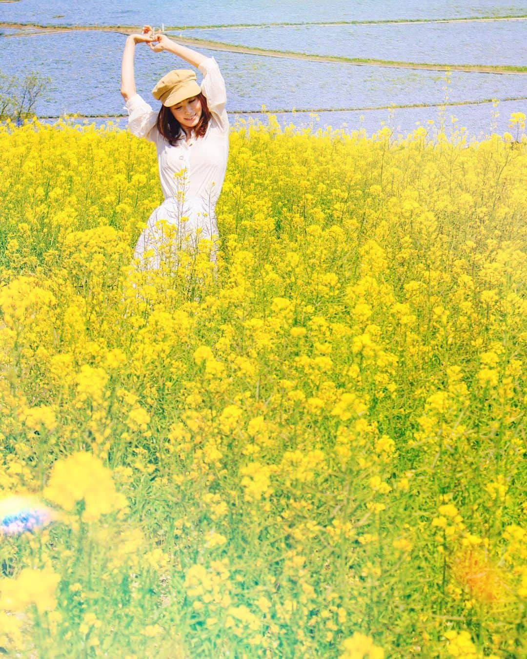 大矢真夕さんのインスタグラム写真 - (大矢真夕Instagram)「ネモフィラをバックに菜の花に囲まれて🌼 . . . 菜の花も見頃で青と黄の色合いが綺麗でした☺️ . . . .  #ネモフィラ #ネモフィラの丘 #ネモフィラブルー #ネモフィラ畑 #みはらしの丘 #ひたち海浜公園 #国営ひたち海浜公園 #bloom #blooming #bestjapanpics #flowers #花 #flower_perfection #ファインダー越しの世界 #ファインダー越しの私の世界 #写真部 #写真で伝えたい私の世界 #photo_japan #photo_jpn #igersjp #lightroom #eos #canon📷 #my_eos_photo #life_with_camera #nemophila #菜の花 #菜の花畑 #光 #light」4月28日 20時50分 - mayuohya