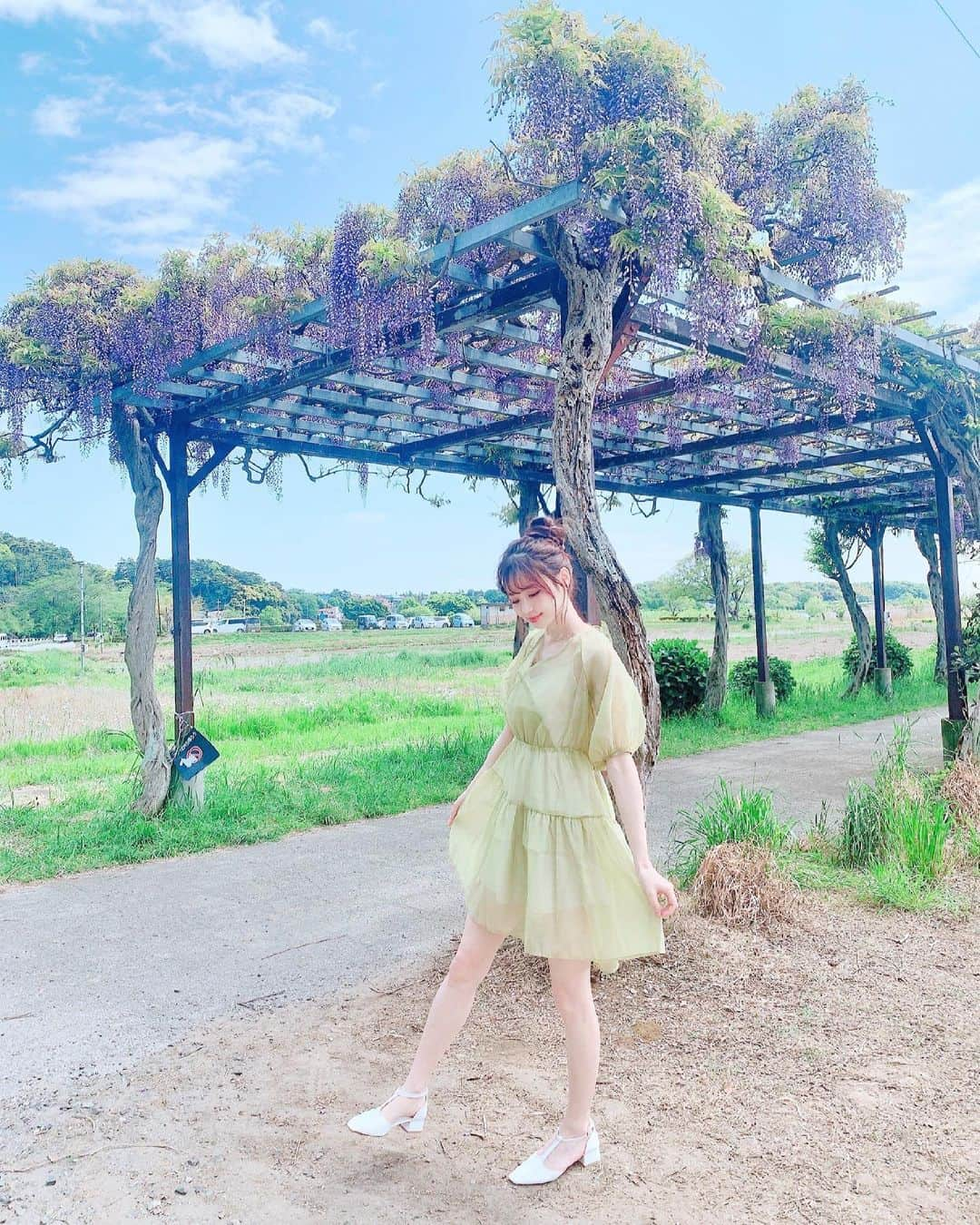 小越しほみさんのインスタグラム写真 - (小越しほみInstagram)「藤の花きれい☺️ ・ もっと滝みたいな藤の花も 見に行きたいなぁぁ ・ ・ ・ ・ ・ #藤の花 #藤 #田舎 #田舎暮らし #韓国ファッション #ワンピース #お団子ヘア #ootd #cordinate #コーディネート #春コーデ #夏コーデ #青空 #晴れの日 #藤棚」4月28日 21時03分 - shihomi1129