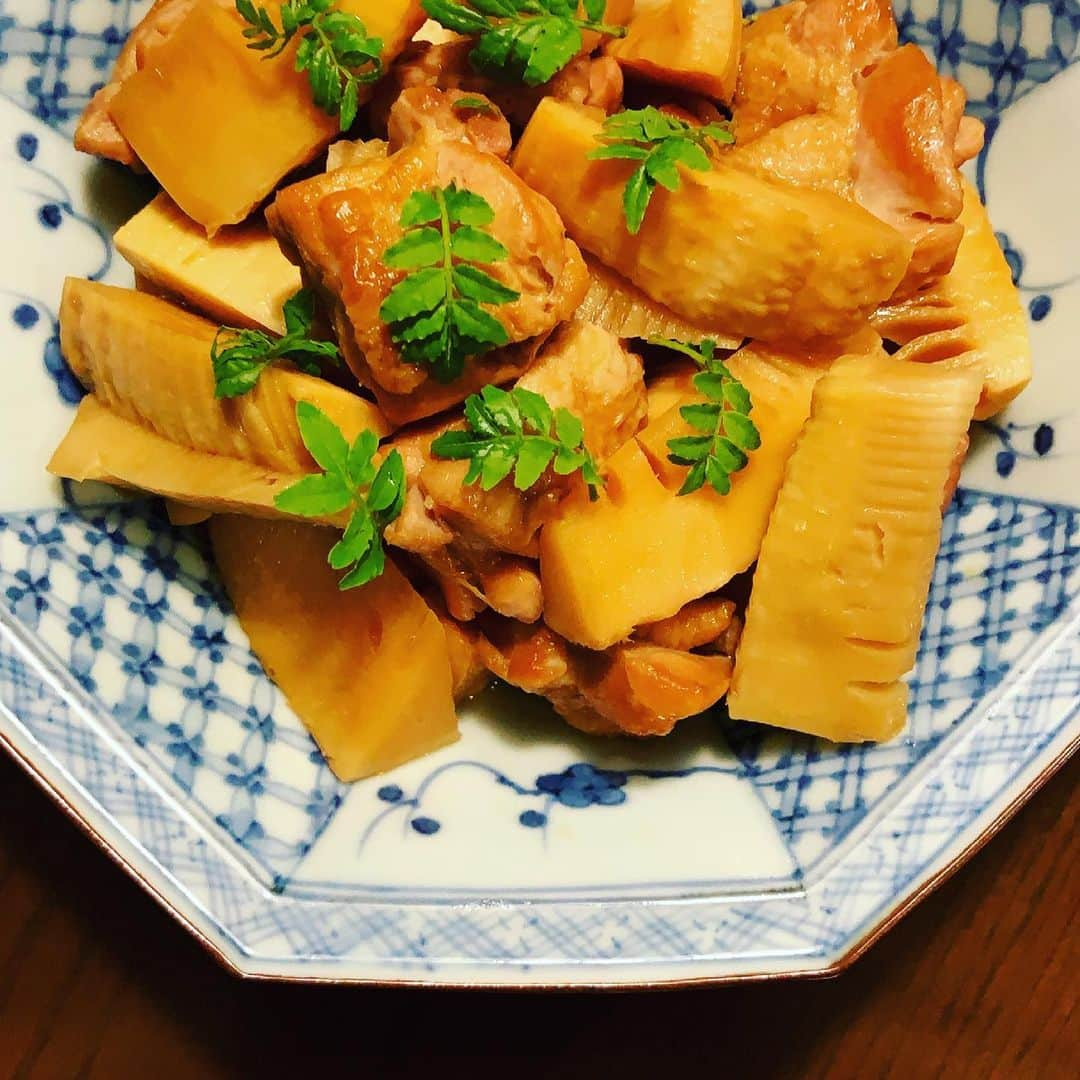 志摩有子さんのインスタグラム写真 - (志摩有子Instagram)「副菜はちゃんと和食です。 まだまだ煮ちゃうたけのこを鶏モモ肉と甘辛く。ステーキにしたり、チーズで焼いたりと洋風に食べるのにハマっていたけれど、こっくり甘辛味もやっぱり落ち着きますな。  #たけのこレシピ #たけのこと鶏モモの煮物  #副菜の鬼」4月28日 22時10分 - ariko418