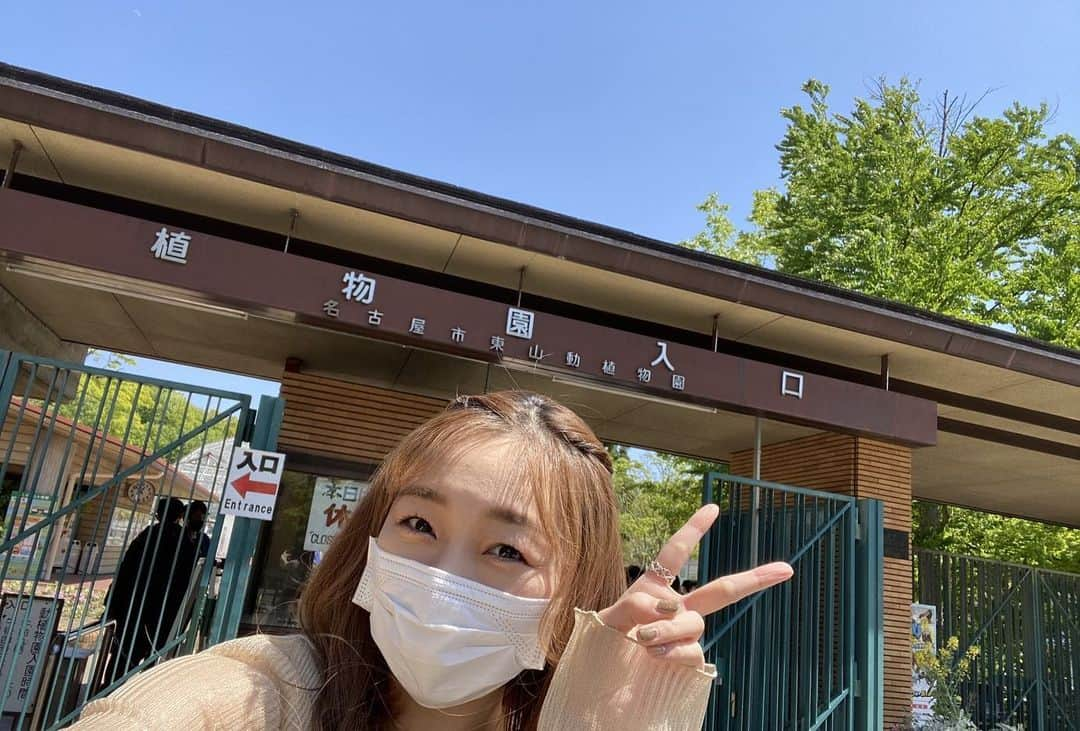 須田亜香里さんのインスタグラム写真 - (須田亜香里Instagram)「4月28日(水) 【#東海テレビスイッチ】 東山動物園ではなく 東山植物園でのロケVTR🪴✨ マスクでも表情わかりやすいように 珍しくおでこ出しにしてみたよ😷  locipoでも配信中ですのでぜひご覧ください💓  東山植物園へは、遠足で昔行った記憶があるけどじっくり楽しんだのは初めてかもしれません。  今日放送でも言ったのですが、海外に行った気分になれるほど、出逢ったことがない植物にたくさん出逢えて本当に楽しかった🌵  そして職員の皆様の愛情をたくさんに受けた植物たちが本当に可愛かった。。  ちなみに、セルフシャッターの台があった温室の写真以外は全部、植物園職員の市野さんが撮ってくださっていました🥰 で、その市野さんがとってもチャーミングで…映え対決！なんて楽しみながらのロケもとても楽しかったです😋  温室内を案内してくださった熊崎さんもすごく楽しいお方で、お話を聞いていると30倍くらい楽しみ方が広がったので、ぜひ皆さんもタイミングが合えば熊崎さんに質問してみてください☺️  案内してくださった西川さん、熊崎さん、市野さん、ありがとうございました❣️ #愛知県 #名古屋市 #東山植物園 #東山動植物園  #国指定重要文化財 #温室 #シャクナゲ #オオデマリ #映えスポット」4月28日 22時12分 - akarisuda