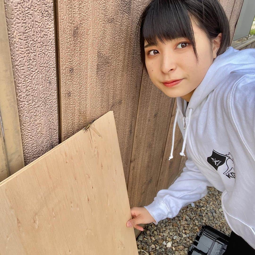 かほなんのインスタグラム：「🏝テレビ出演のお知らせ🏝  5/1(土) あさ6:30〜  ドデスカ！ドようびデス。(メ〜テレ) https://www.nagoyatv.com/dode/saturday/  朝のニュース番組に、ゲストコメンテーターとして出演します☺️ スタジオからの生放送です！  東海地方の皆〜！ ドデスカ！だよ〜〜！🌞 早起きして見てね✌️✨  #写真はドデスカ全然関係ないけれど先日インパクトにトンボが止まってたので安全そうな場所に移動させたという平和すぎる写真です  #さばいどる #かほなん #ドデスカ #ドデスカドようびデス」